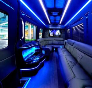 16 passengers Mercedes Sprinter Party Bus style ( Interior )